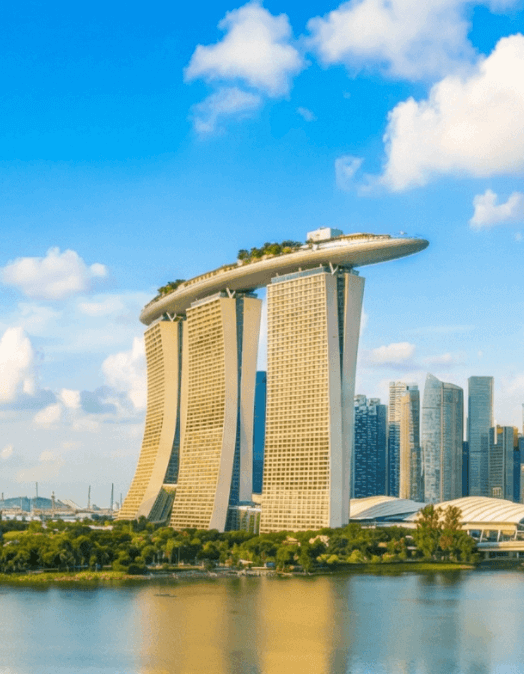 affaf的黑胶小店